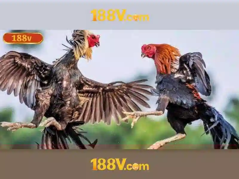 Đối tác và ứng dụng thực tế của 188v