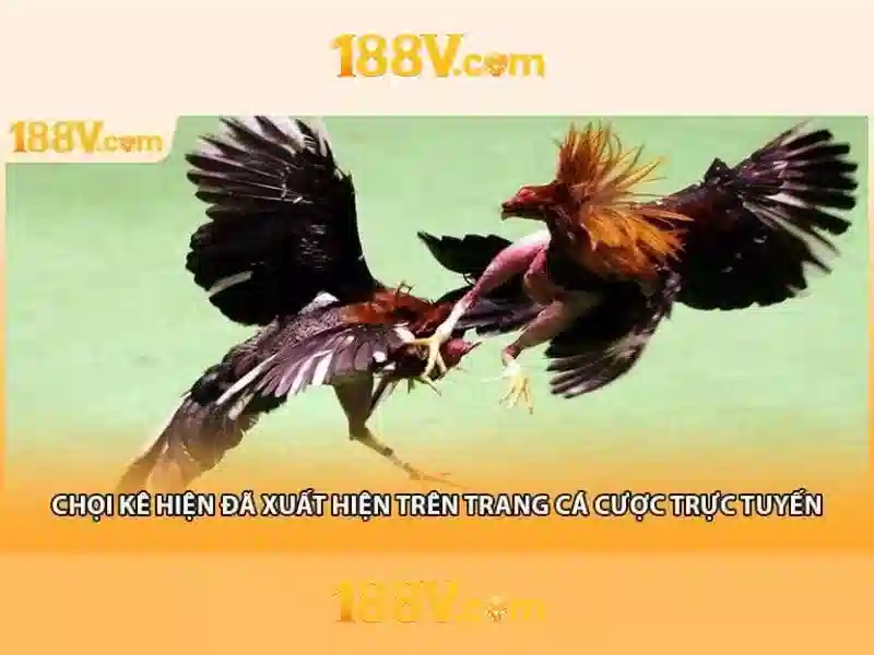 Nguồn gốc và ý tưởng