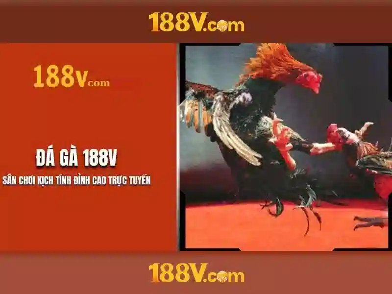 188v-ban-ca-dashboard
