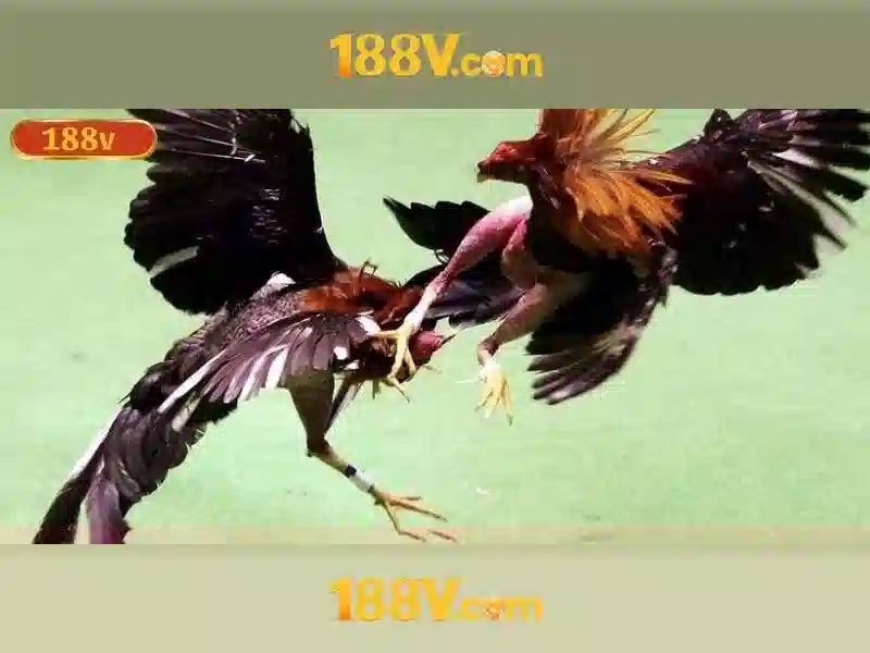 Việc chuyển đổi lên 400V và 48V