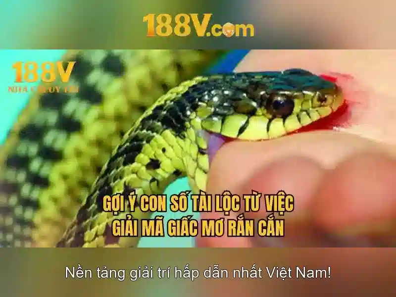 So sánh 188v với các khái niệm liên quan
