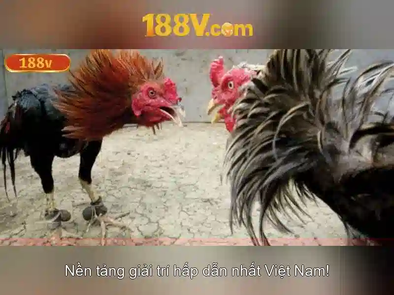 Nguồn gốc và quy ước 188V