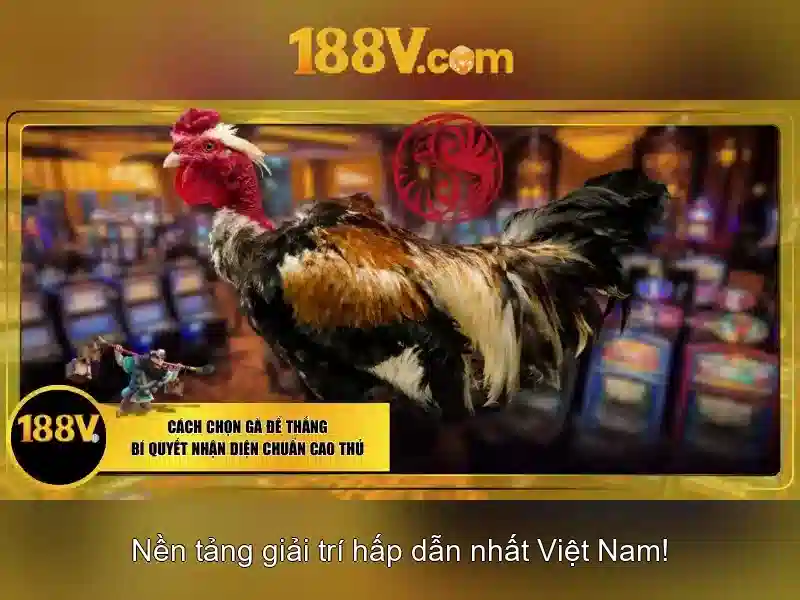 Khuyen mai va thuong