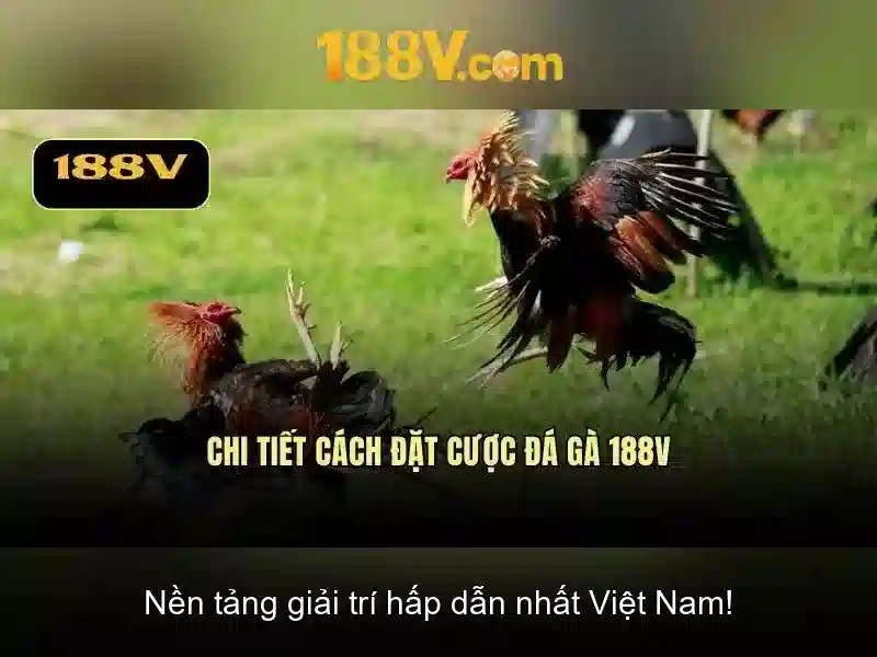 Nguồn gốc của 188v
