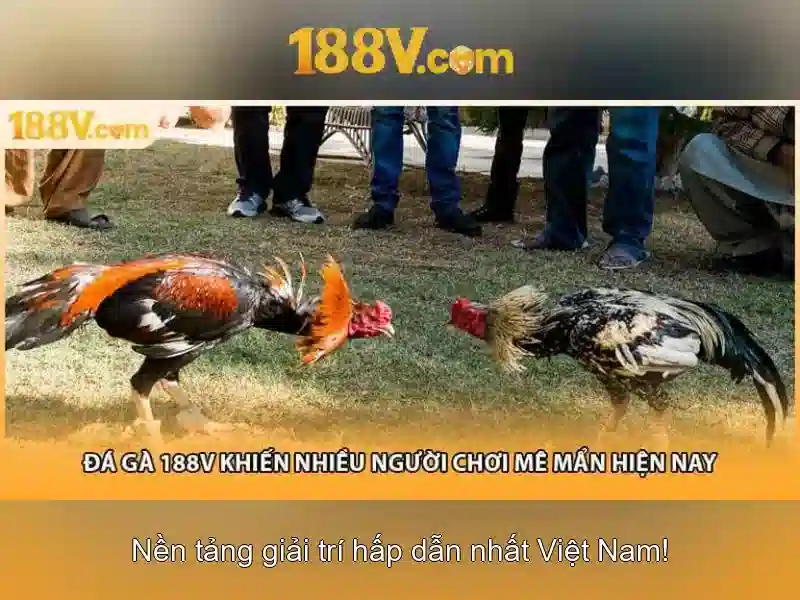 Kết luận và tương lai