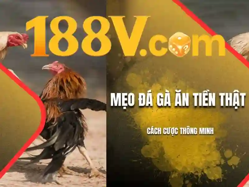 188V là gì?