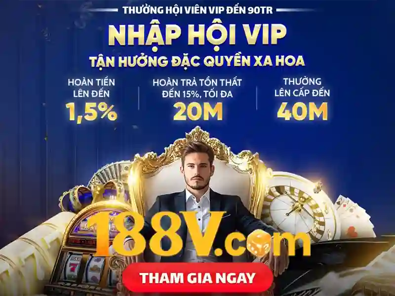 Các lưu ý khi tra cứu 188v